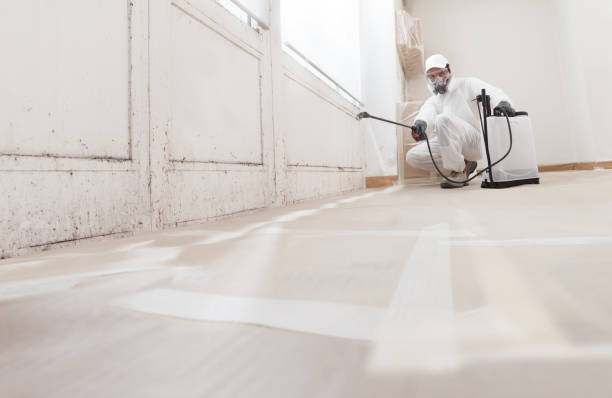 24/7 Emergency Crawl Space Mold Removal experts in Graham, WA