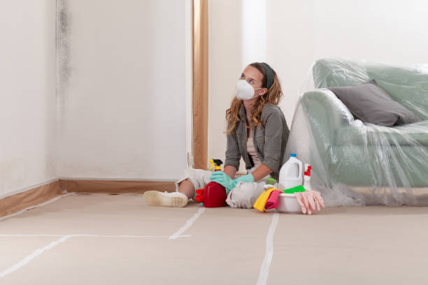 Trusted Crawl Space Mold Removal service in Graham, WA - WQB Mold Removal
