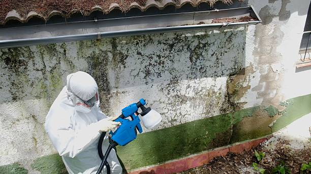 Top rated local Crawl Space Mold Removal specialists in Graham, WA